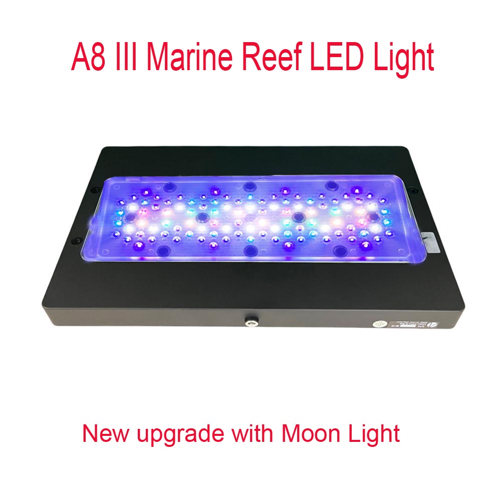 Marine Coral - A8 III مون لايت - إضاءة