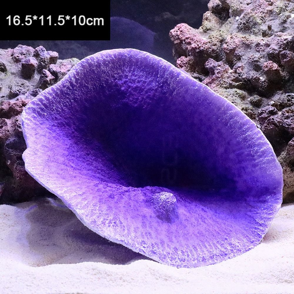 الراتنج المرجان الاصطناعي نموذ - مراجعة Marine Coral وسعره