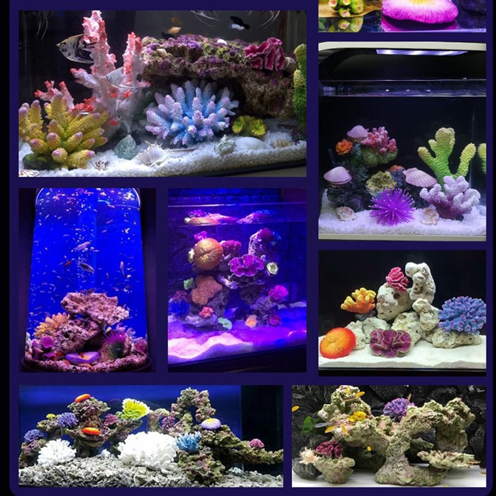 الراتنج المرجان الاصطناعي نموذ - مراجعة Marine Coral وسعره