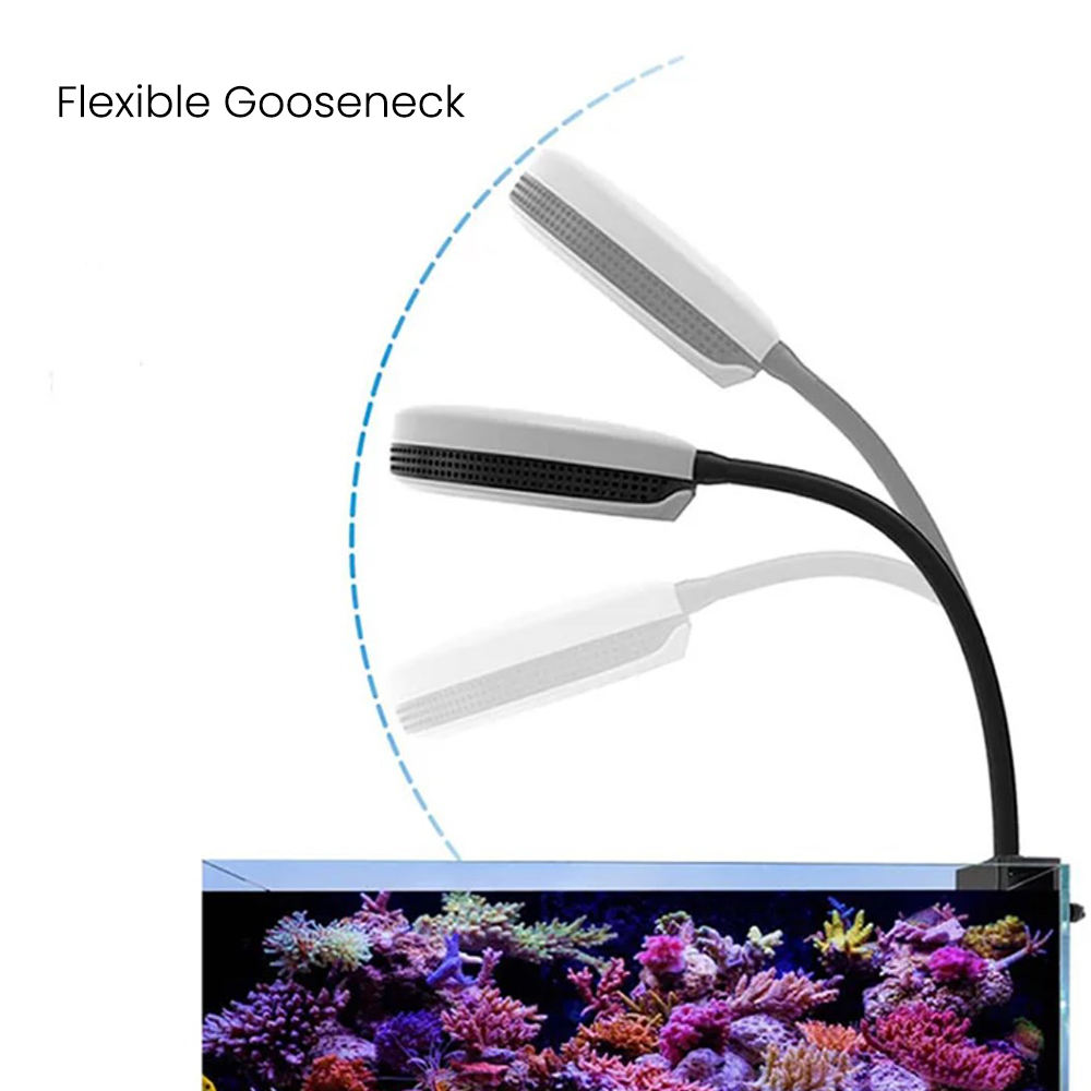 مصباح LED للأحواض المائية سبيك - مراجعة Marine Coral وسعره