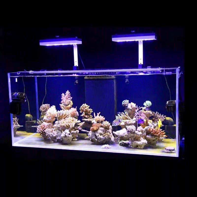 إضاءة مائية AI Hydra 32HD/64HD - مراجعة Marine Coral وسعره