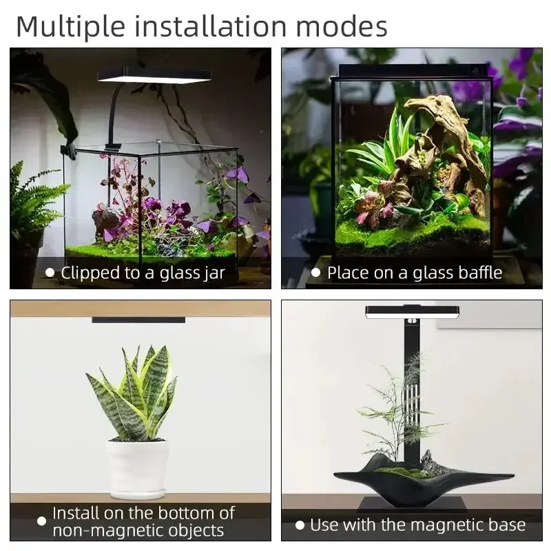 مصباح حوض السمك WEEK AQUA Mag  - مراجعة Reef Lighting وسعره