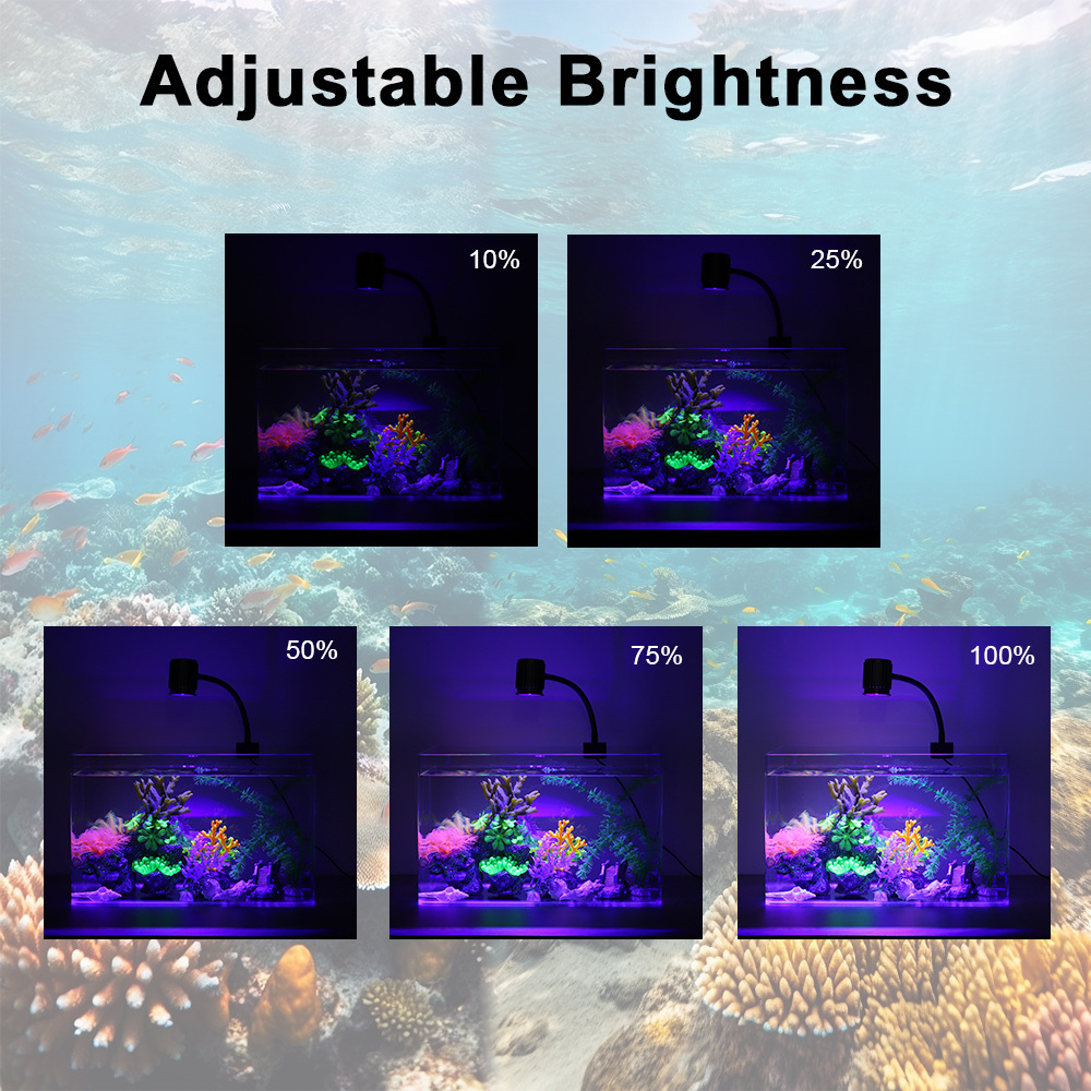 إضاءة LED للأحواض المائية بطيف - مراجعة Reef Lighting وسعره