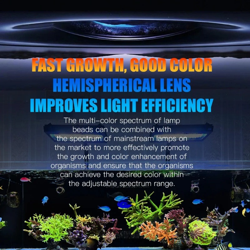 A8Pro II Max Coral Reef Marine - مراجعة Marine Coral وسعره